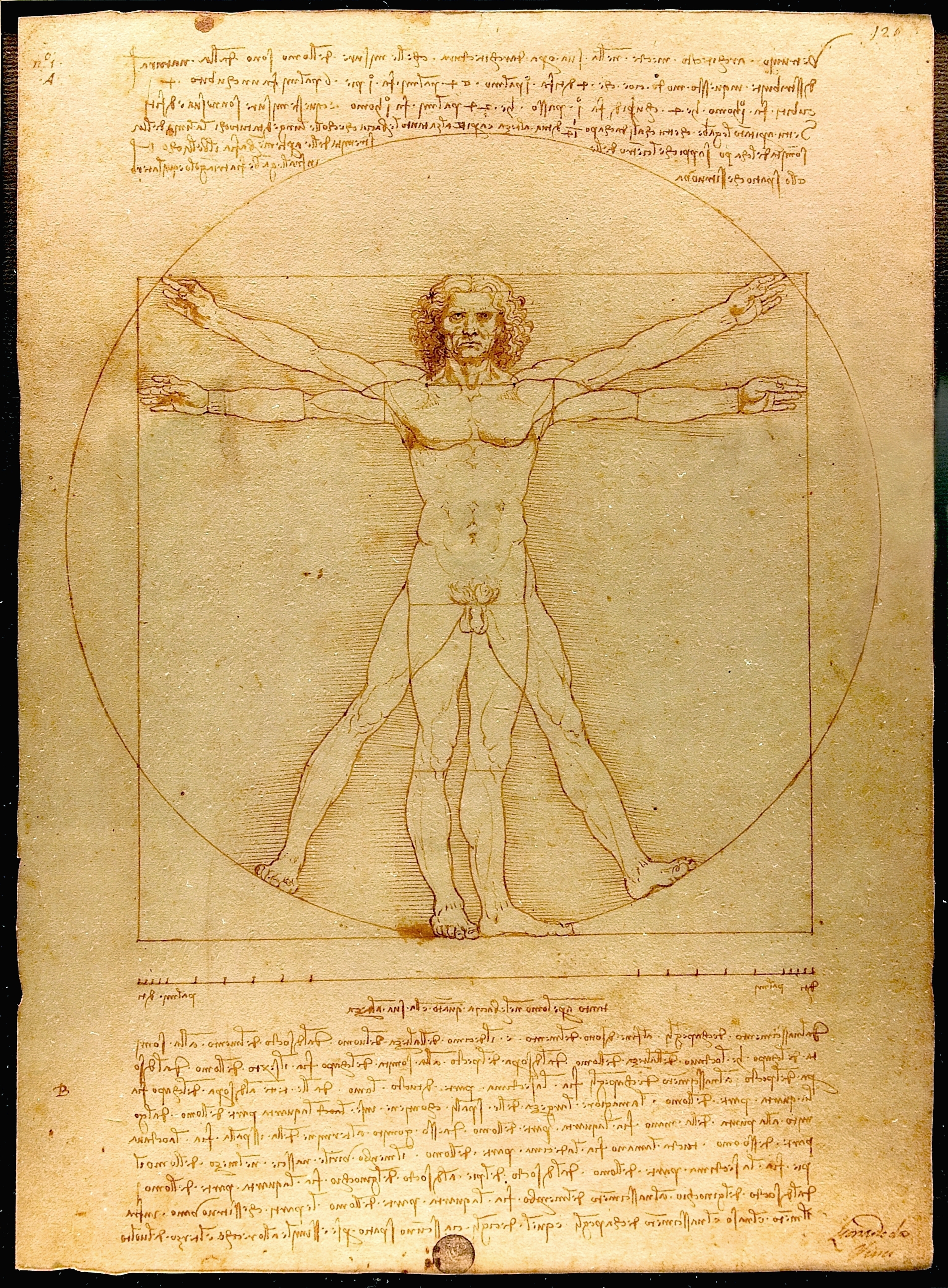 Uomo Vitruviano, Leonardo da Vinci, 1490, gallerie dell’Accademia, Venezia.